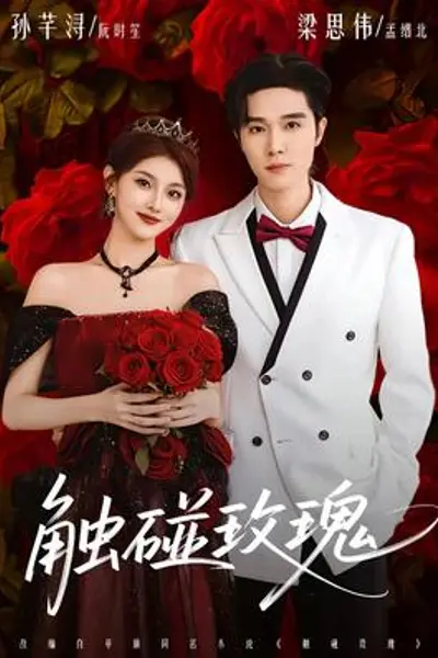 触碰玫瑰
