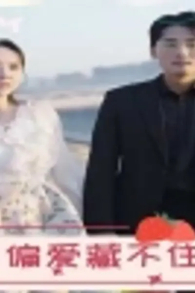 偏爱藏不住