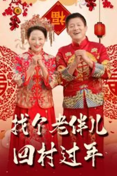 找个老伴儿回村过年