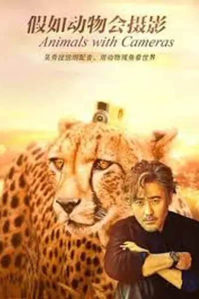 假如动物会摄影