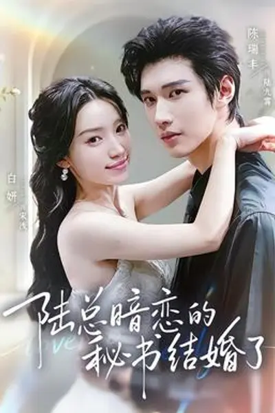 陆总暗恋的秘书结婚了