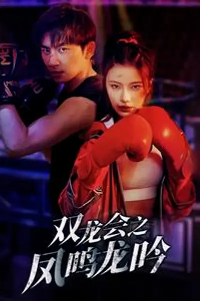 双龙会之凤鸣龙吟