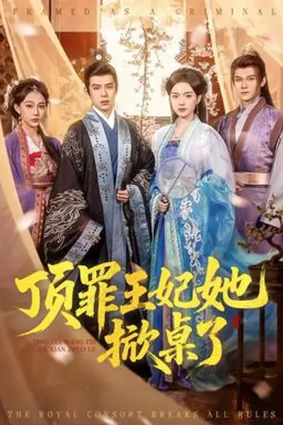 顶罪王妃她掀桌了