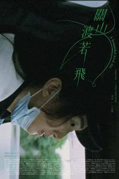 关山度若飞