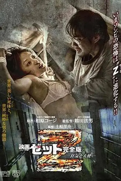 Z：疯狂与天使