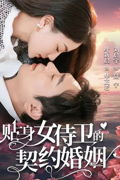 贴身女侍卫的契约婚姻