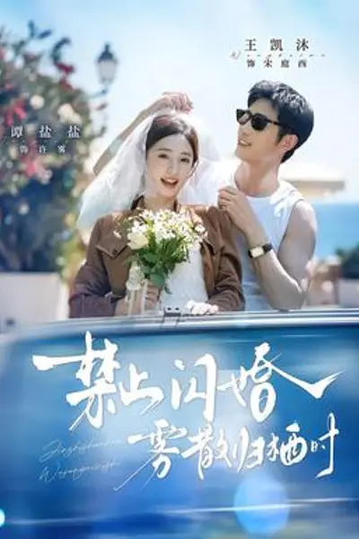 禁止闪婚，雾散归栖时