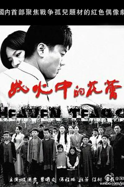 战火中的花蕾