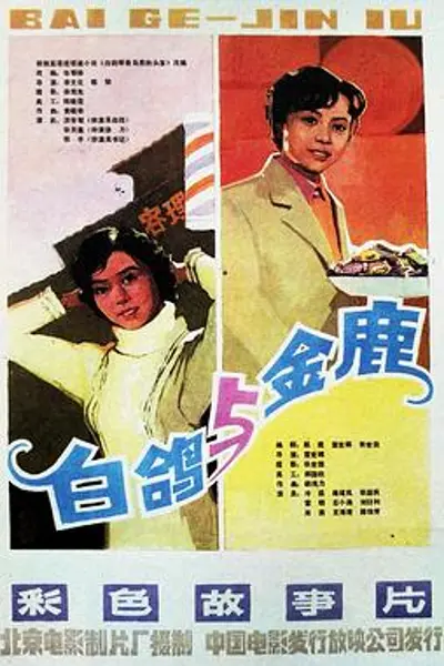 白鸽