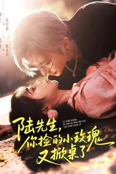 陆先生,你捡的小玫瑰又掀桌了