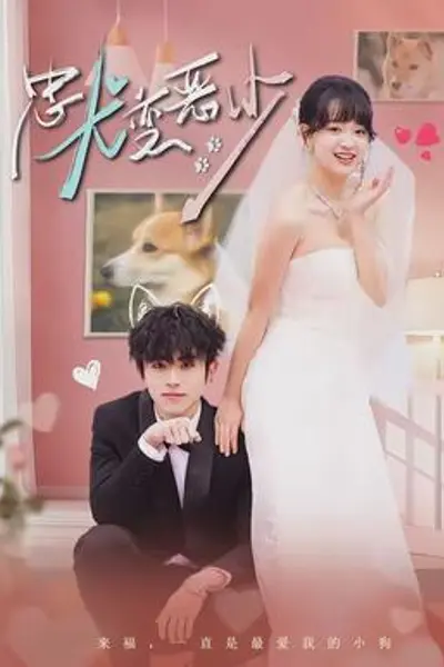 忠犬变恶少