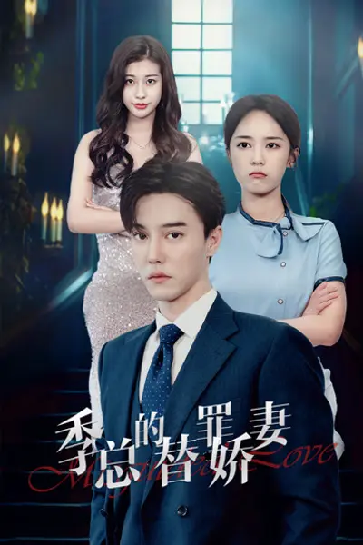 季总的替罪娇妻