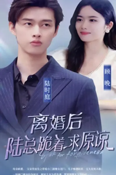 离婚后，陆总跪着求原谅
