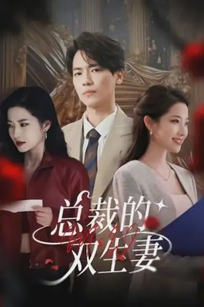 总裁的双生妻