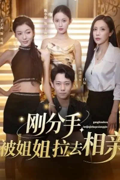 刚分手被姐姐拉去相亲