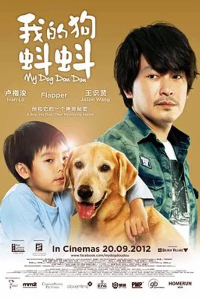 我的狗蚪蚪
