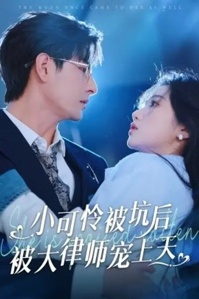 小可怜被坑后被大律师宠上天