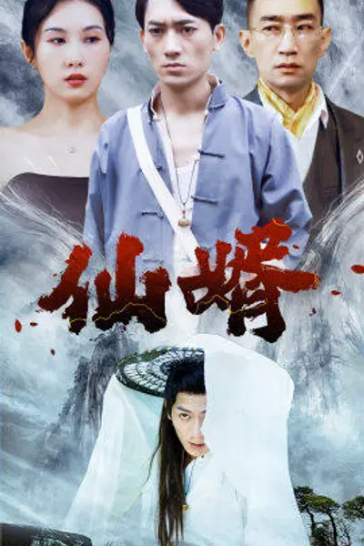 仙婿