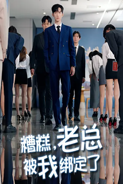 糟糕老总被我绑定了