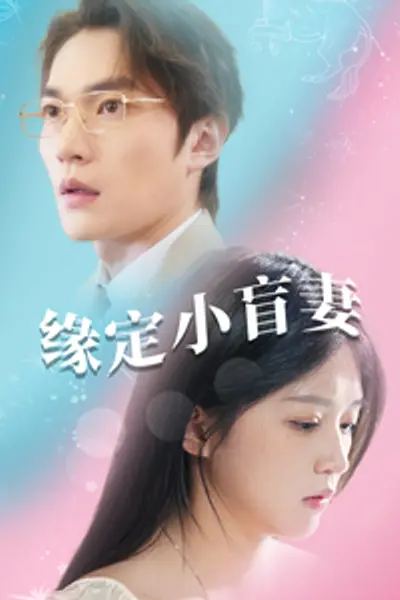 缘定小盲妻