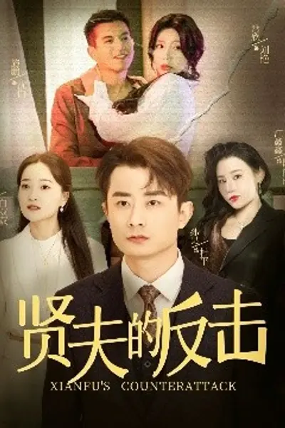 贤夫的反击
