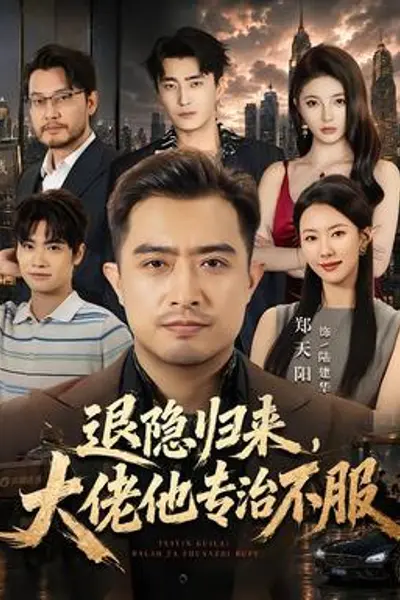 退隐归来，大佬他专治不服