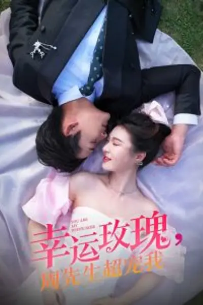 幸运玫瑰，周先生超宠我