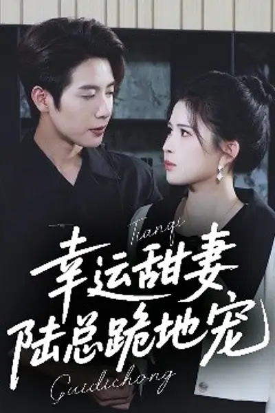 幸运甜妻，陆总跪地宠