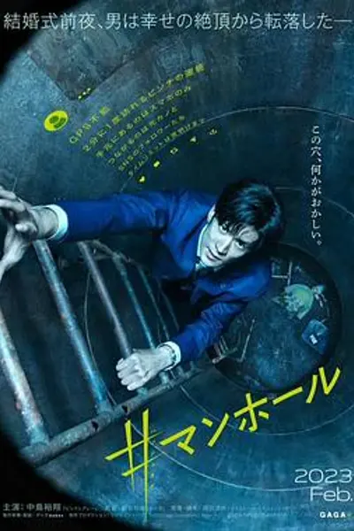 窨井盖