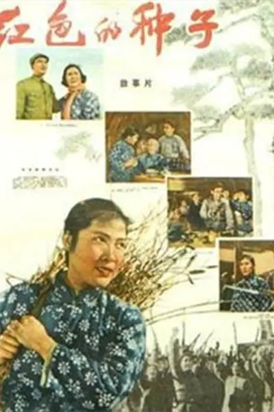 红色的种子