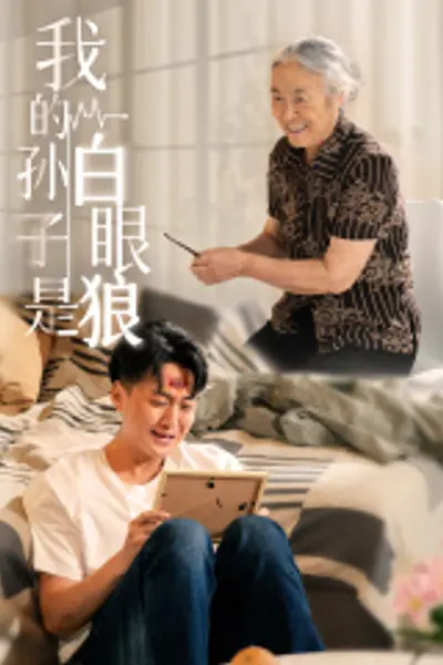 我的孙子是白眼狼