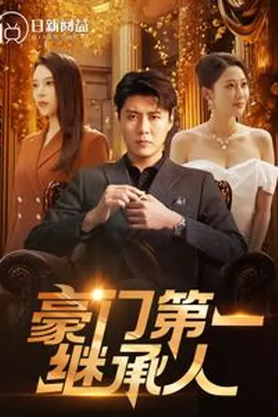 豪门第一继承人