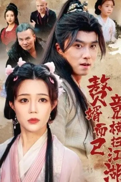 赘婿而已竟横扫江湖