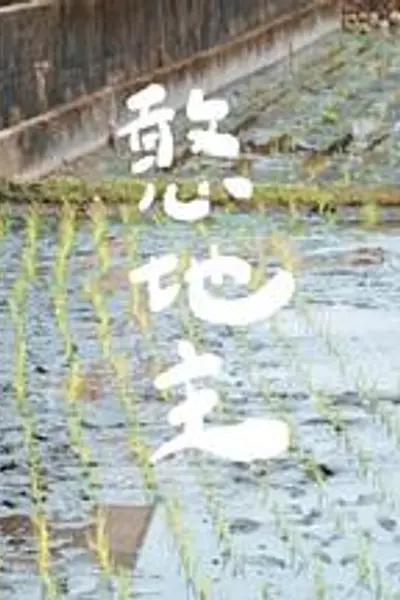 憨地主