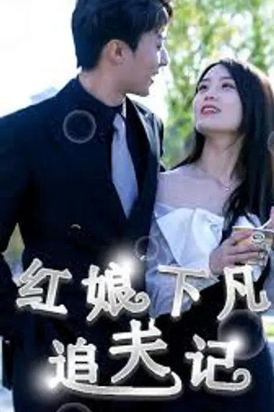 红娘下凡追夫记