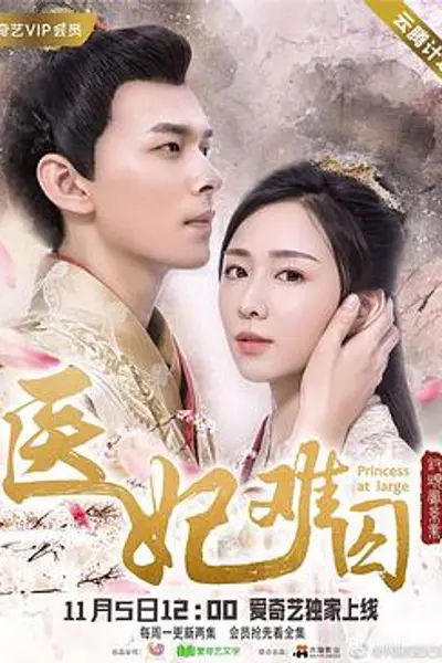 医妃难囚第一季