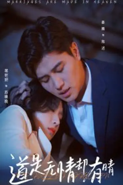 道是无情却有晴