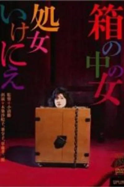 箱中女