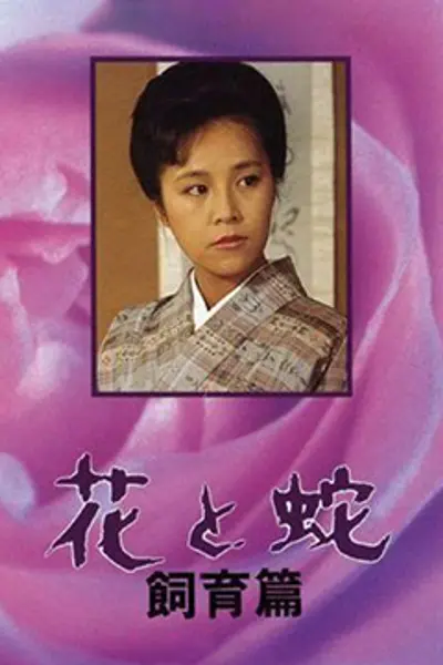 花与蛇饲育篇