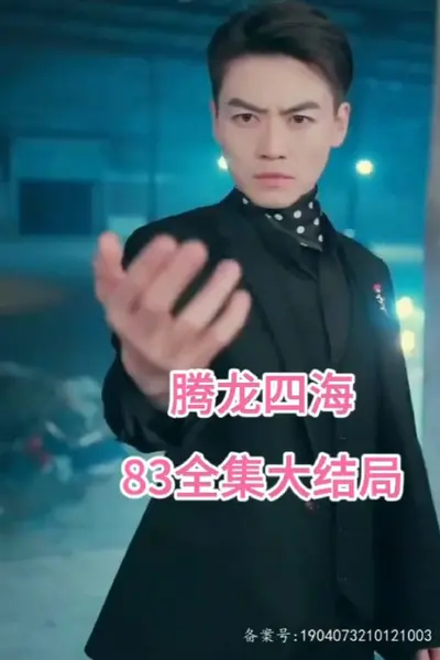 腾龙四海