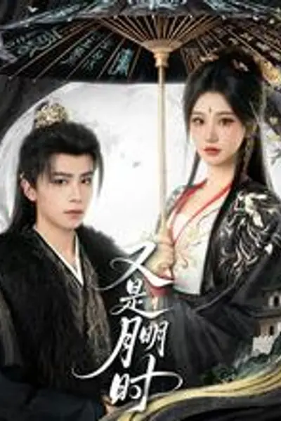 又是月明时