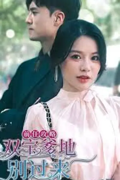 前任攻略，双宝爹地别过来