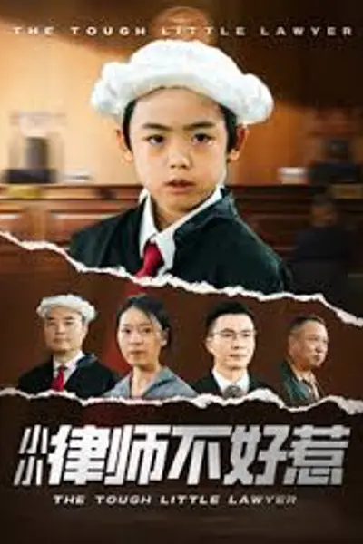 律师不好惹