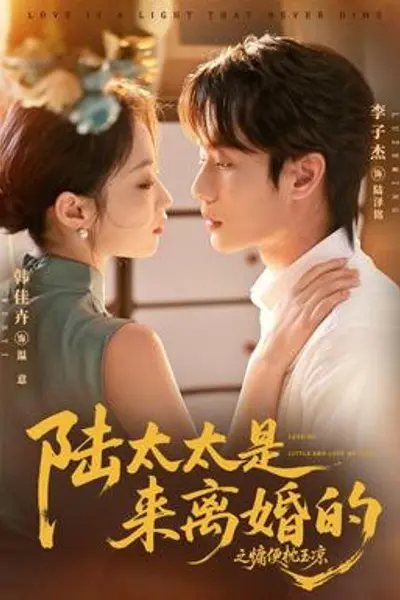 陆太太是来离婚的之慵便枕玉凉