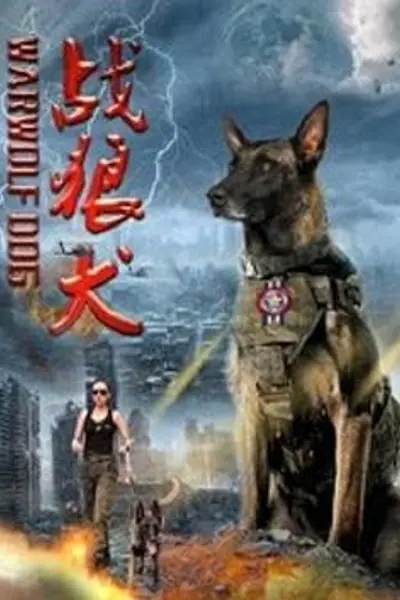 战狼犬