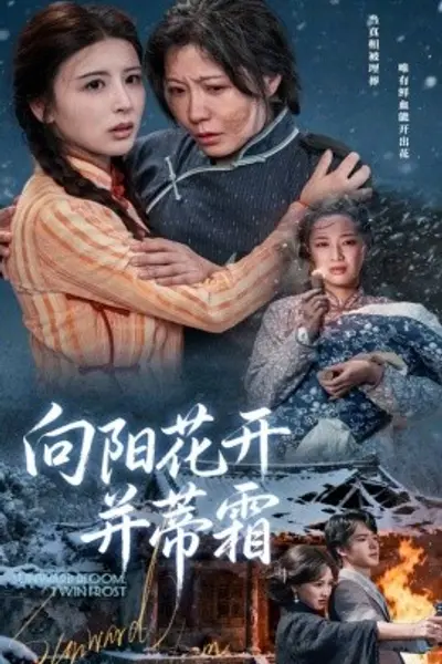 向阳花开并蒂霜