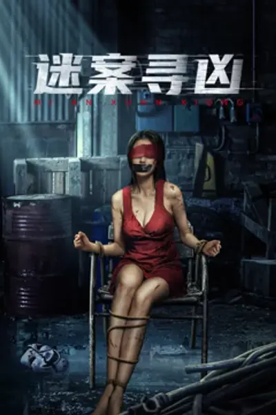 迷案寻凶电影版