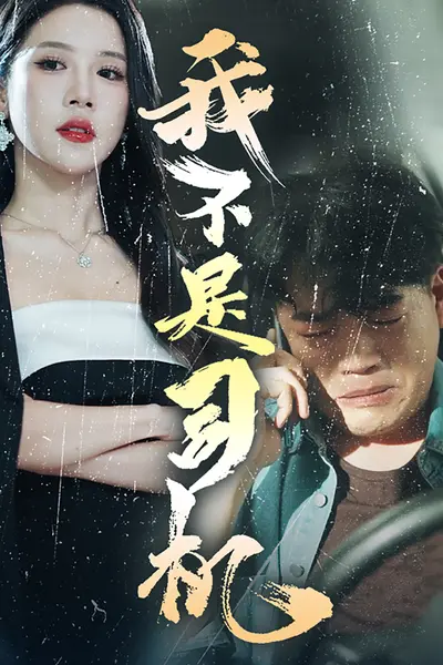 我不是司机