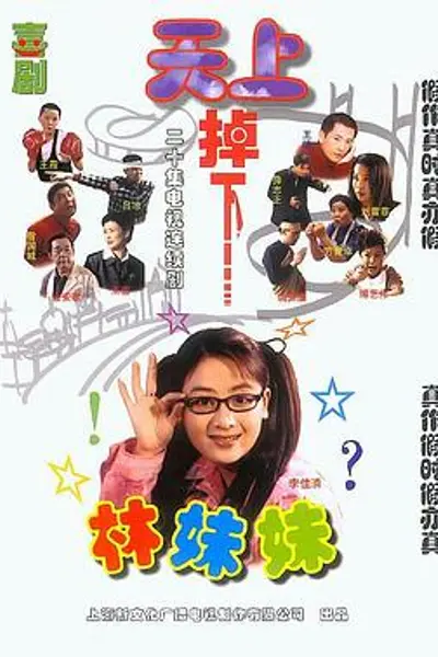 天上掉下个林妹妹