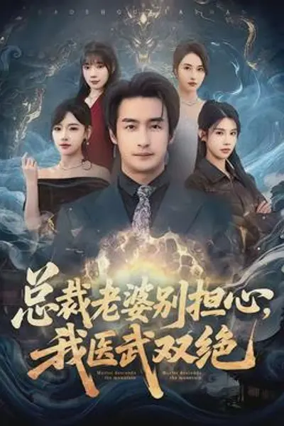 总裁老婆别担心,我医武双绝